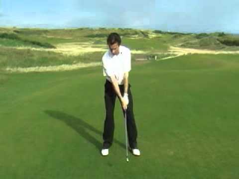  the perfect golf swing